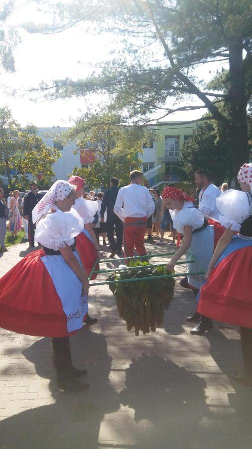 Za Vodou Vendégház Moravská Nová Ves Kültér fotó